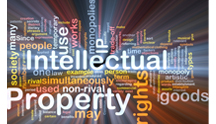 Intellectual property and innovation